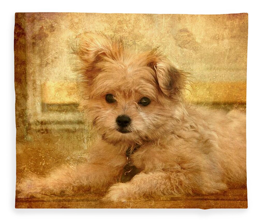 Puppies Fleece Blanket featuring the photograph Taking A Break by Angie Tirado
