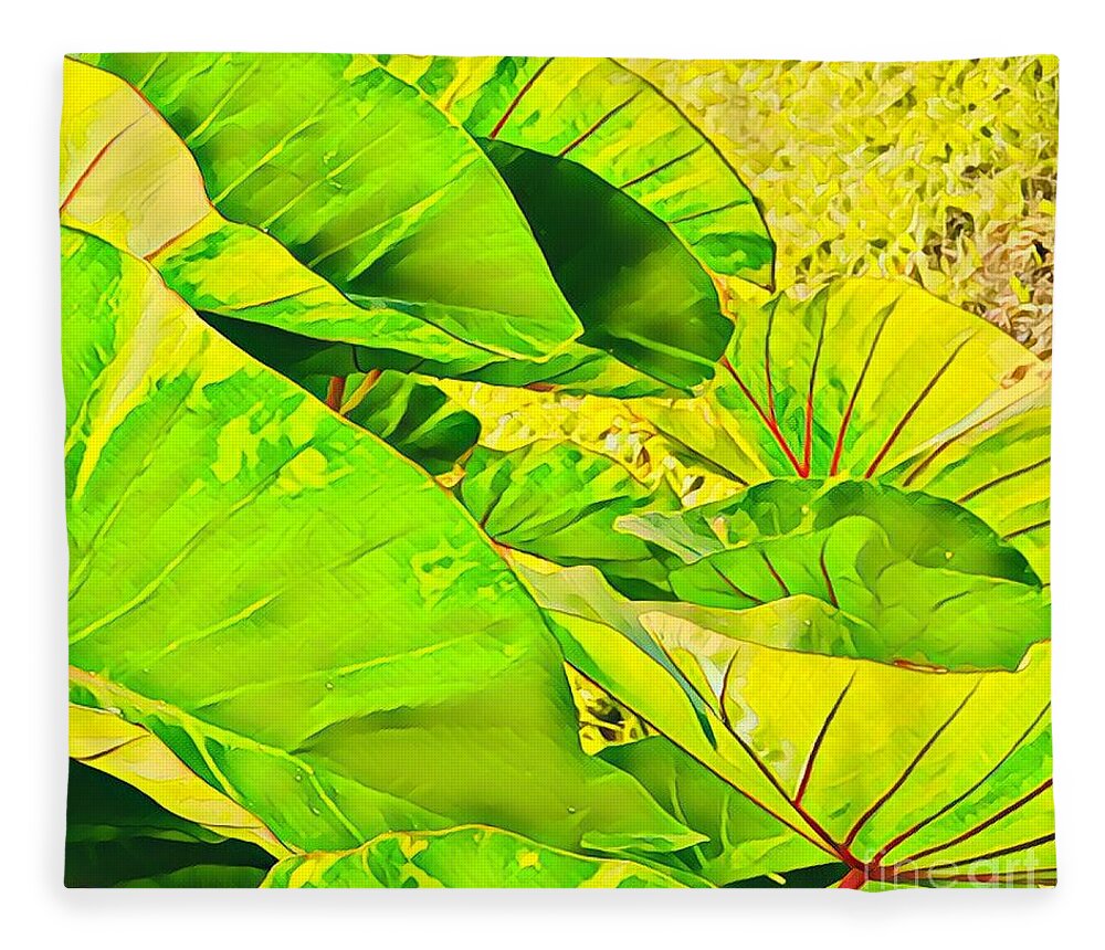 #taroleaves #taro #leaves #green #flowersofaloha Fleece Blanket featuring the photograph Taro Leaves in Green by Joalene Young