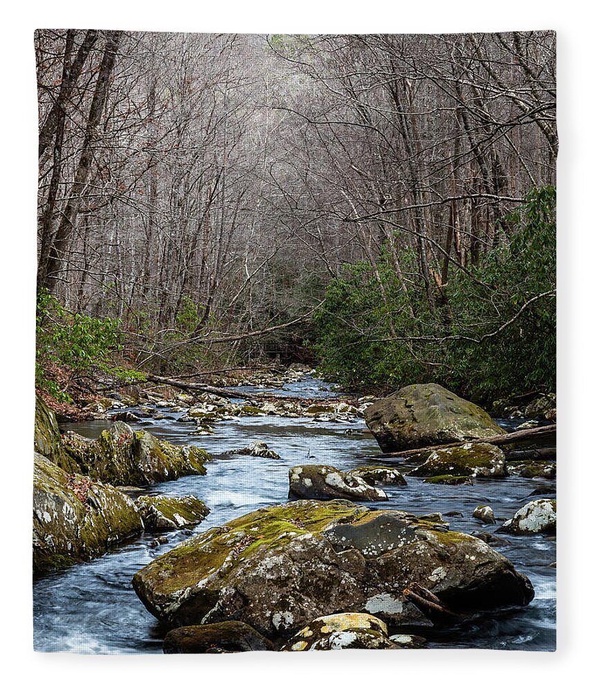 Scenic Fleece Blanket featuring the photograph Tellico River by Gary Migues