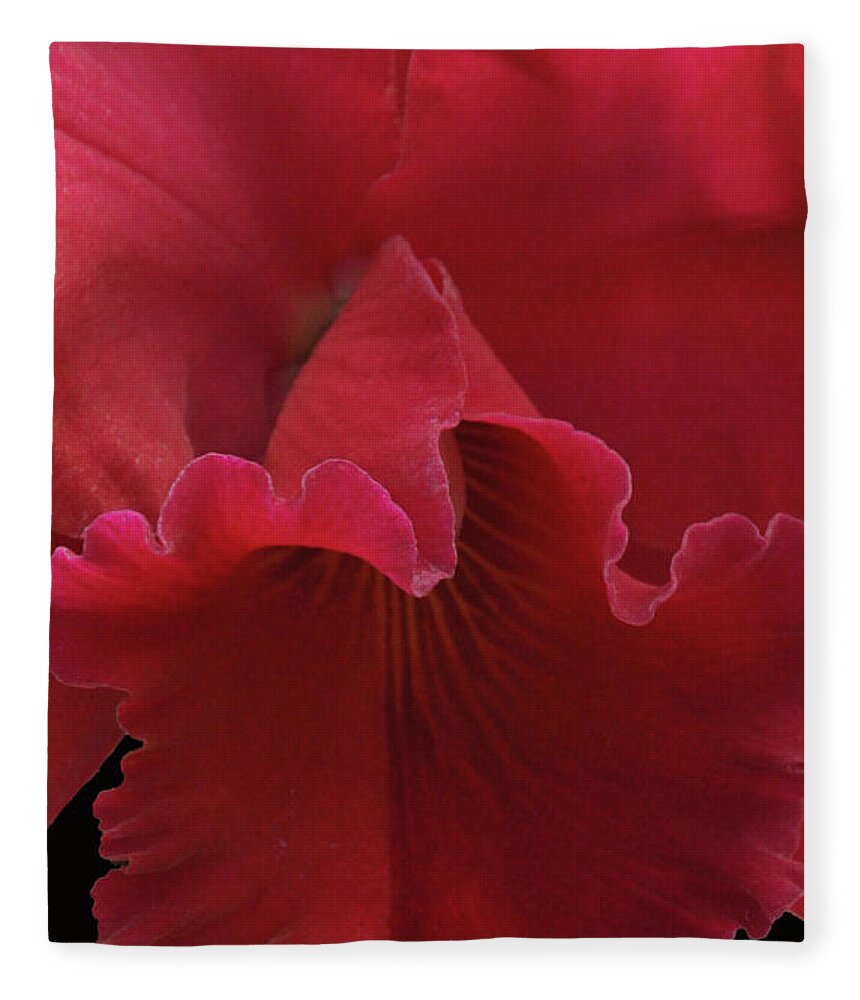 Orchid Fleece Blanket featuring the photograph Tender Orchid by Anthony Jones