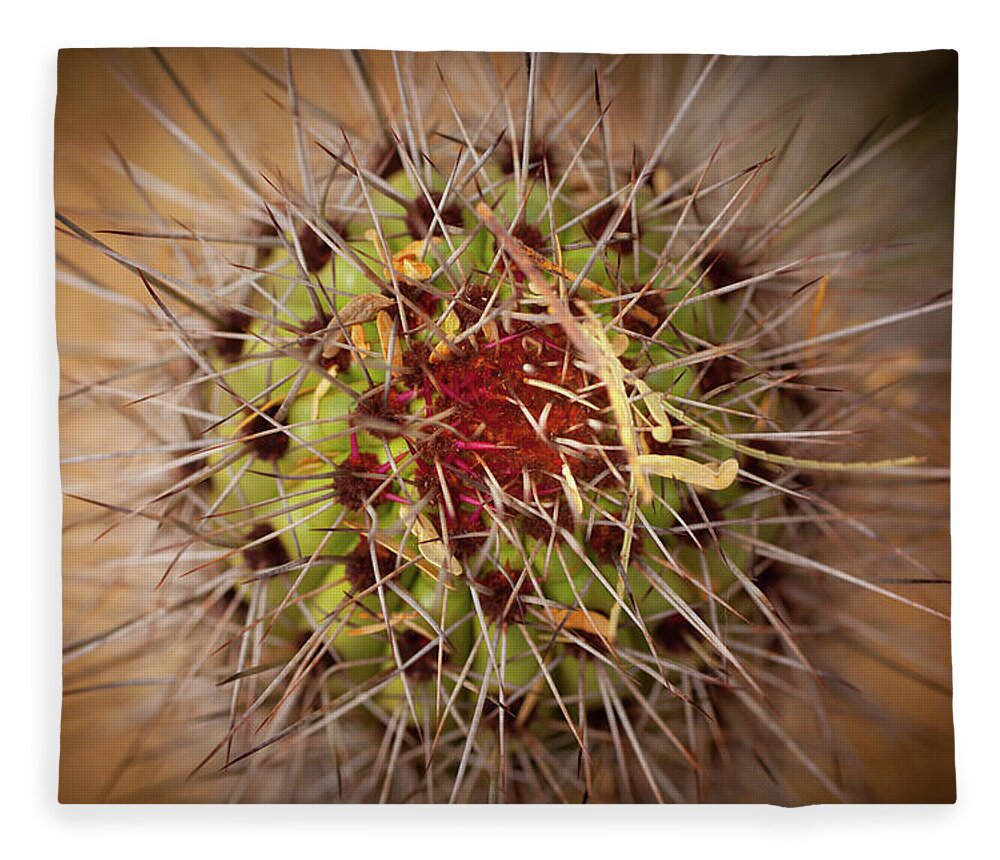 Cactus Fleece Blanket featuring the photograph Textures of Arizona by John Magyar Photography