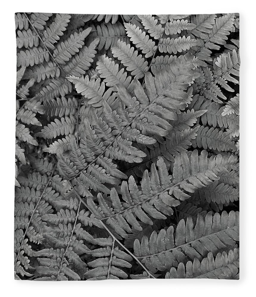 Fern Fleece Blanket featuring the photograph Textures of the Forest by Holly Ross