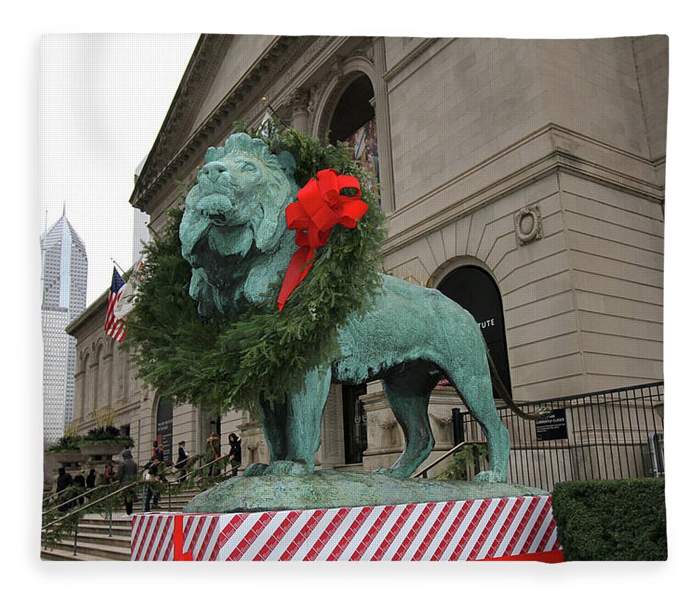 Art Institute Fleece Blanket featuring the photograph The Art Institute of Chicago by Jackson Pearson