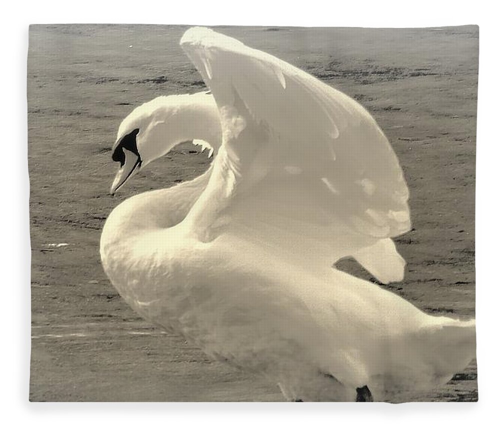 Swan Fleece Blanket featuring the photograph The Art Of The Swan by Tami Quigley