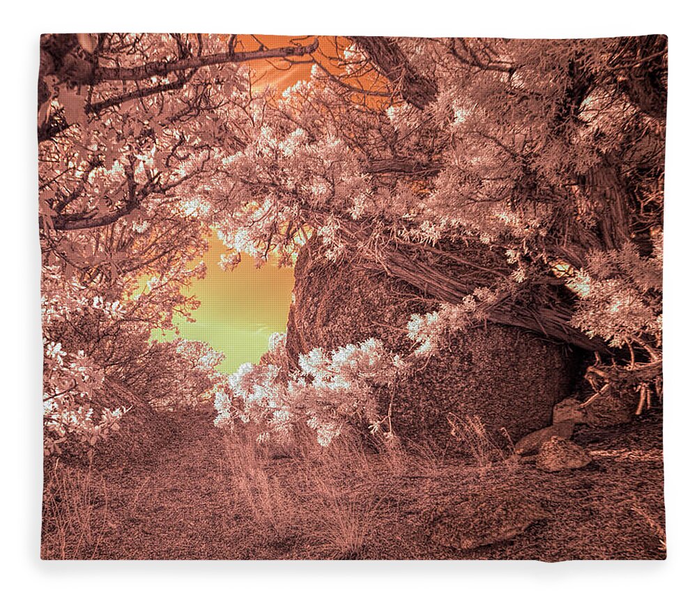 Nature Fleece Blanket featuring the photograph The Bashful Boulder by Michael McKenney