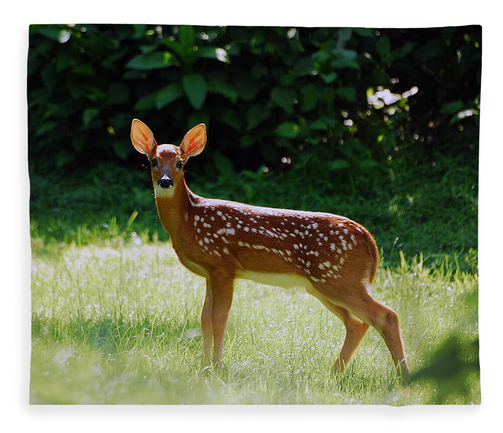 Fawn Fleece Blanket featuring the photograph The Best Part of Spring by Lori Tambakis