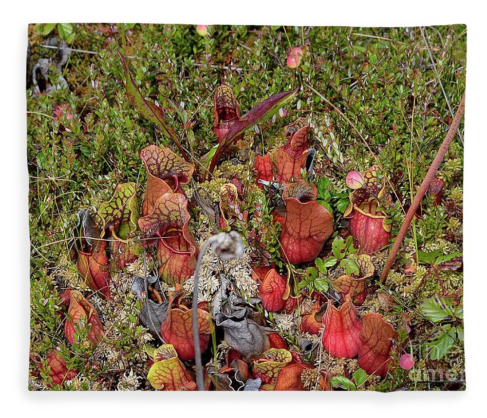 West Virginia Highlands Fleece Blanket featuring the photograph The Bog by Randy Bodkins