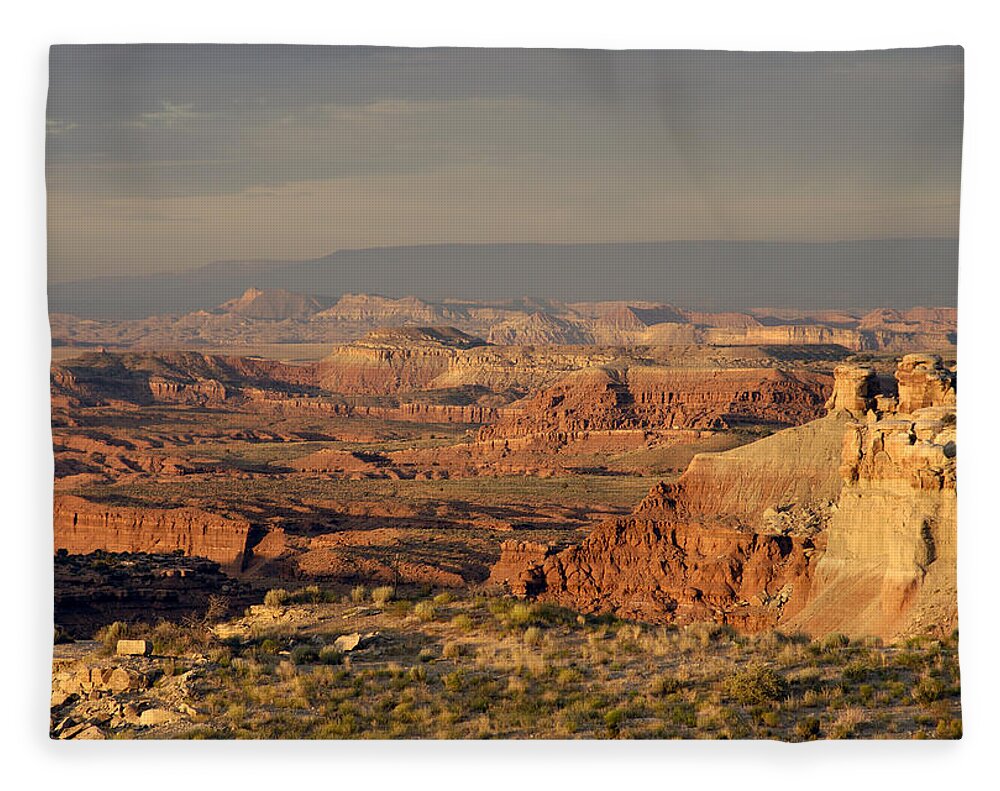 Dead Zone Fleece Blanket featuring the photograph The Dead Zone - Utah by DArcy Evans