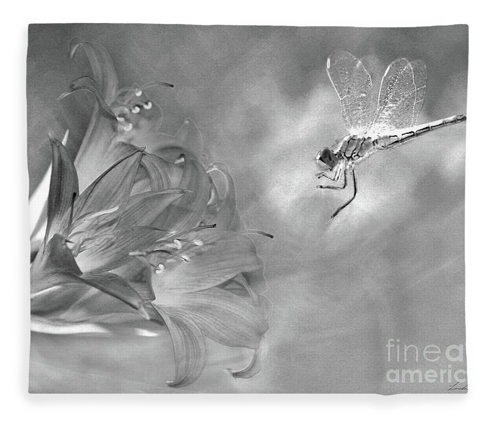 Belladonna Fleece Blanket featuring the photograph The Dragonfly and the Flower by Linda Lees
