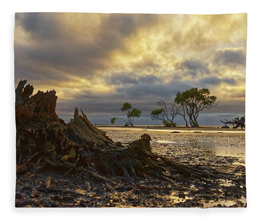 Decay Fleece Blanket featuring the photograph The End of the World by Robert Charity