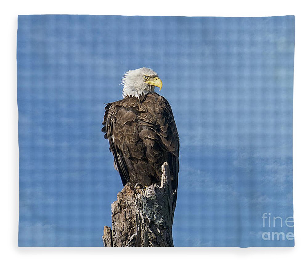 Eagle Fleece Blanket featuring the photograph The Eye Of Freedom by Craig Leaper