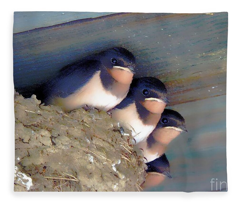 Barn Swallow Fleece Blanket featuring the photograph The Four Musketeers by Tami Quigley