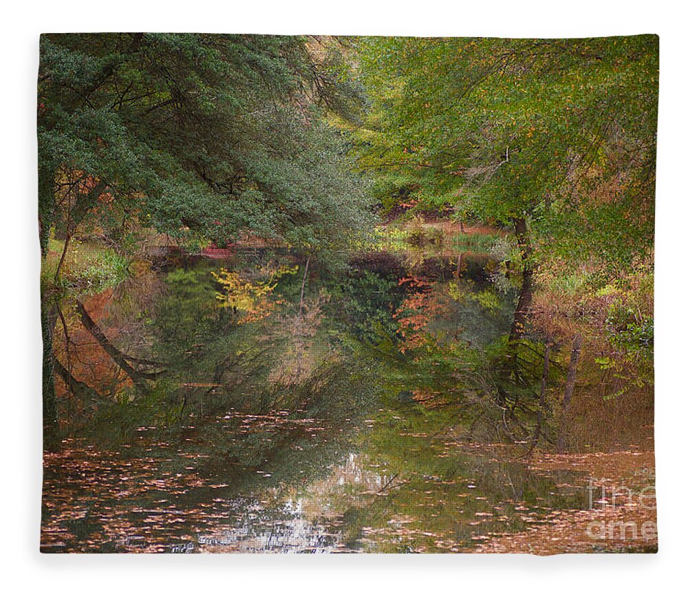 Garden Fleece Blanket featuring the photograph The Governor's Palace Canal in Autumn by Lara Morrison