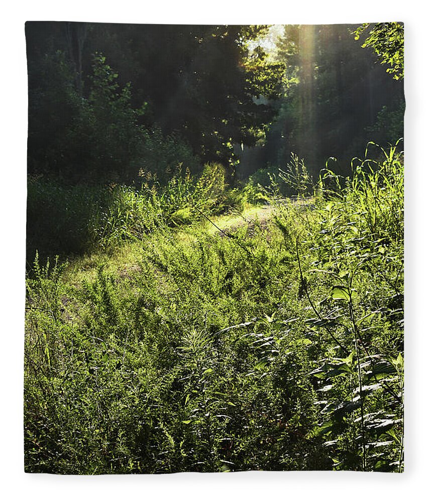Scenic Fleece Blanket featuring the photograph The Highlighted Trail by Skip Willits