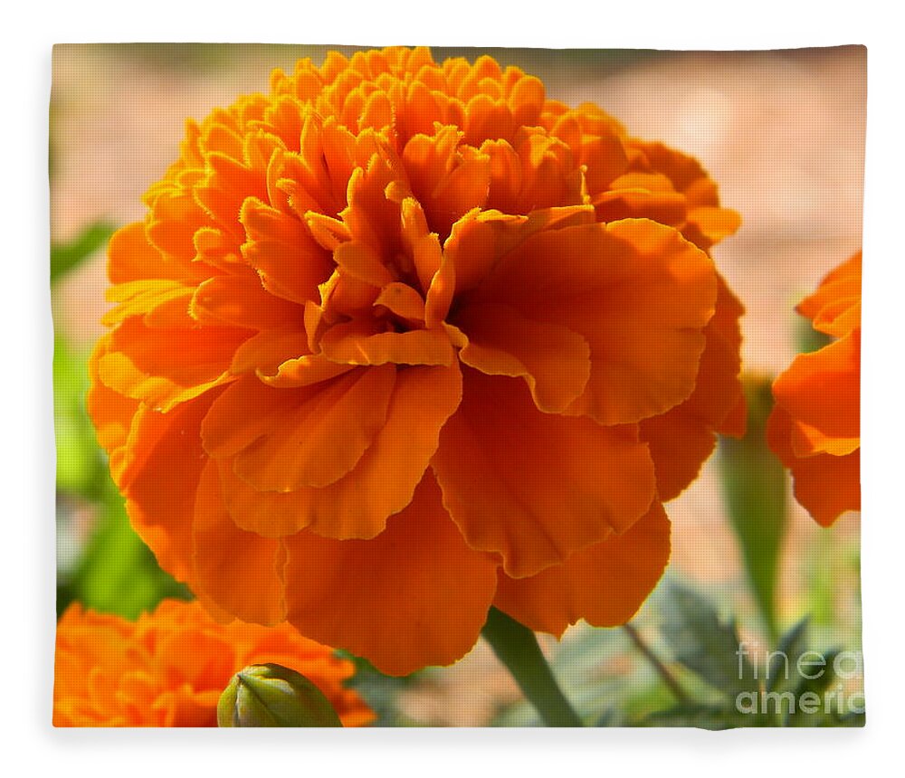 Flower Fleece Blanket featuring the photograph The Last Marigold by Leslie Revels