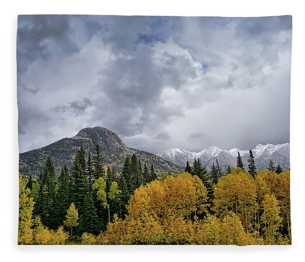 Colorado Fleece Blanket featuring the photograph The Magnificance of Aspens by Leda Robertson