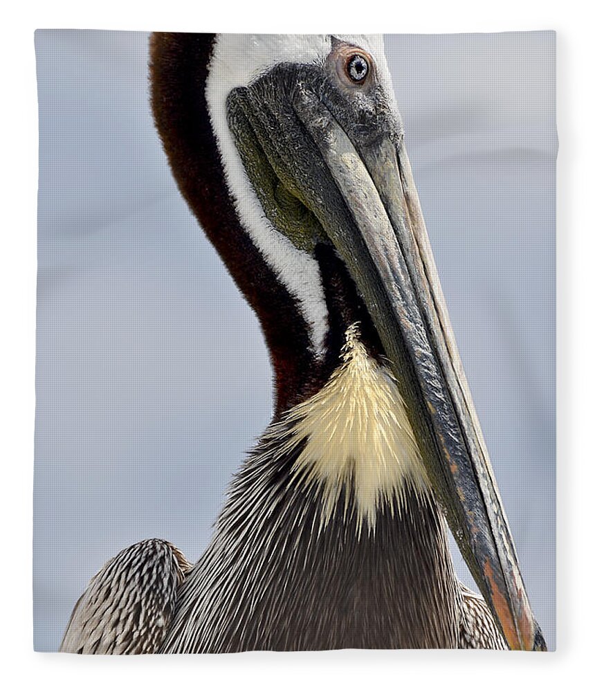 Original Fleece Blanket featuring the photograph The Majestic Pelican by WAZgriffin Digital