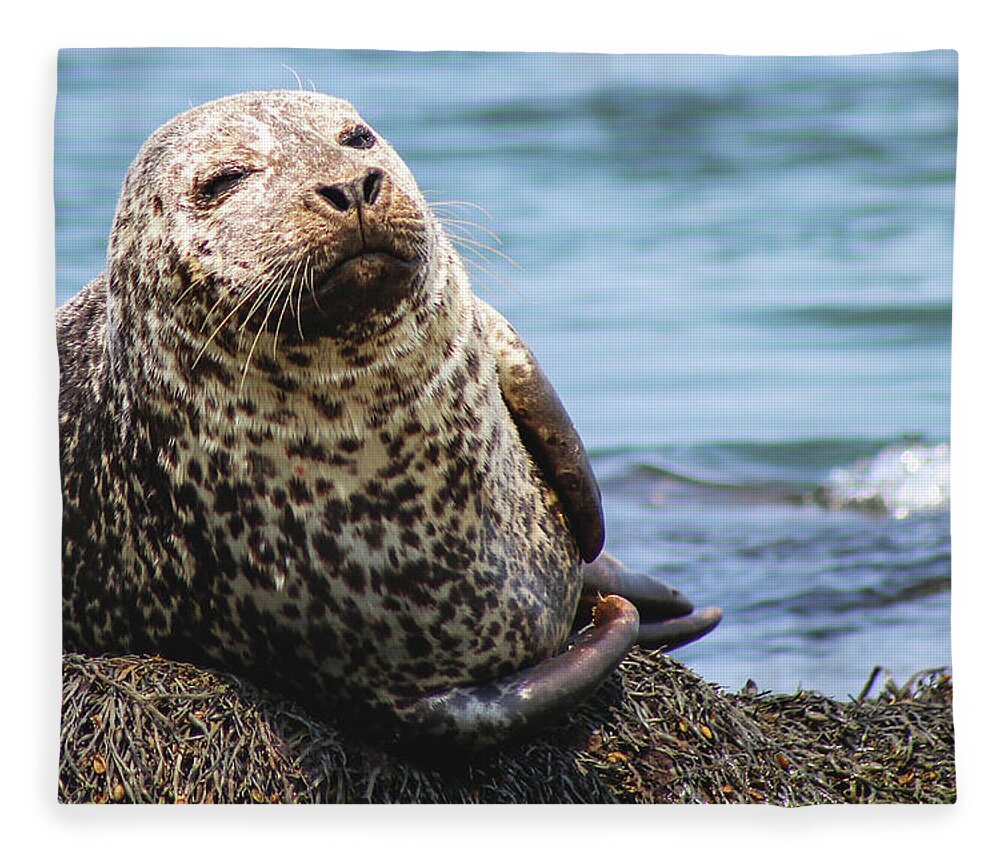 Seal Fleece Blanket featuring the photograph The Most Interesting Seal by Holly Ross