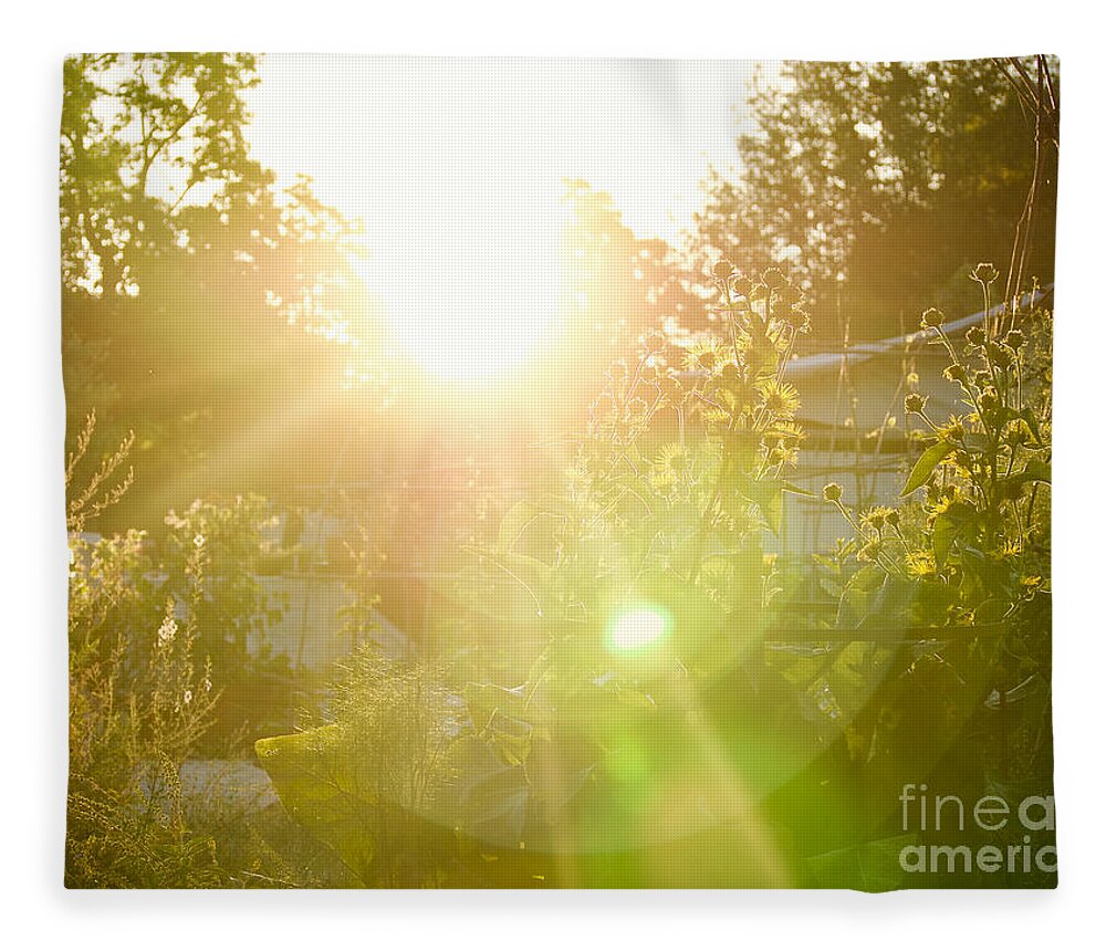 Garden Fleece Blanket featuring the photograph The Nursery Garden at Sunrise by Rachel Morrison