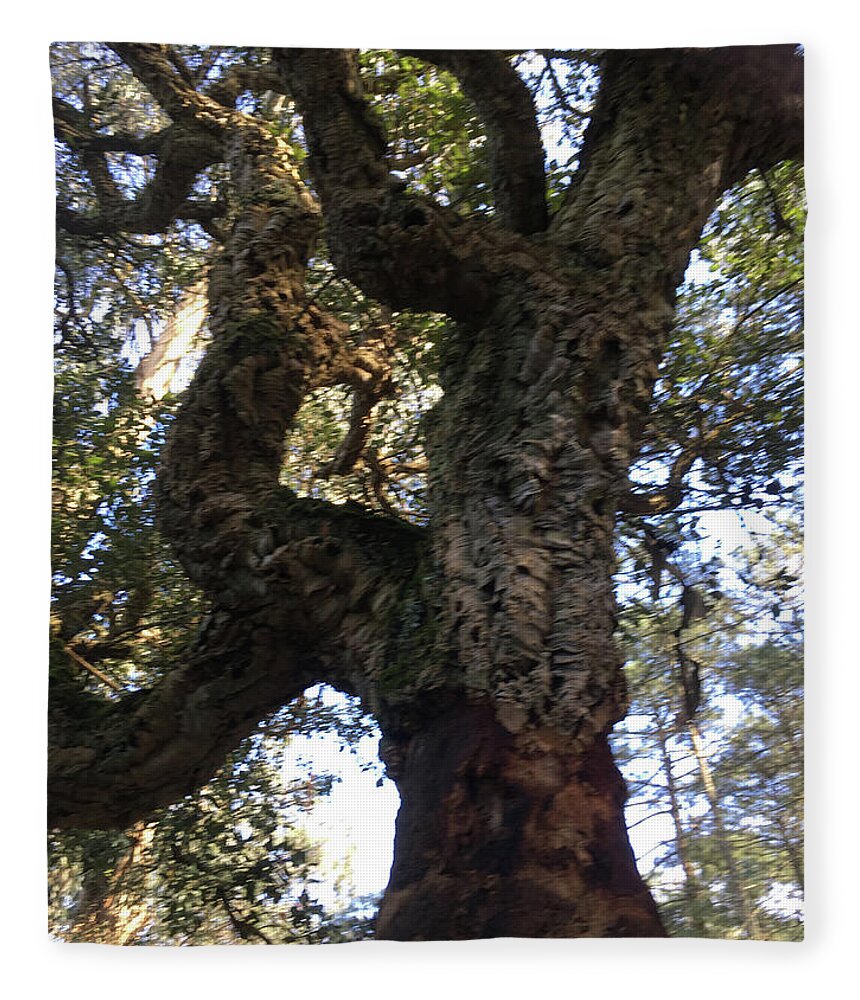 Cork Tree Fleece Blanket featuring the photograph The Old Cork Tree by Susan Grunin