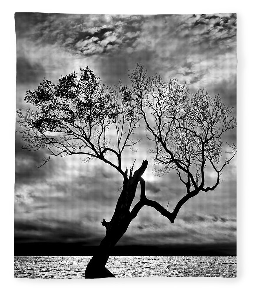 2015 Fleece Blanket featuring the photograph The Old Mangrove tree in the Sea by Robert Charity