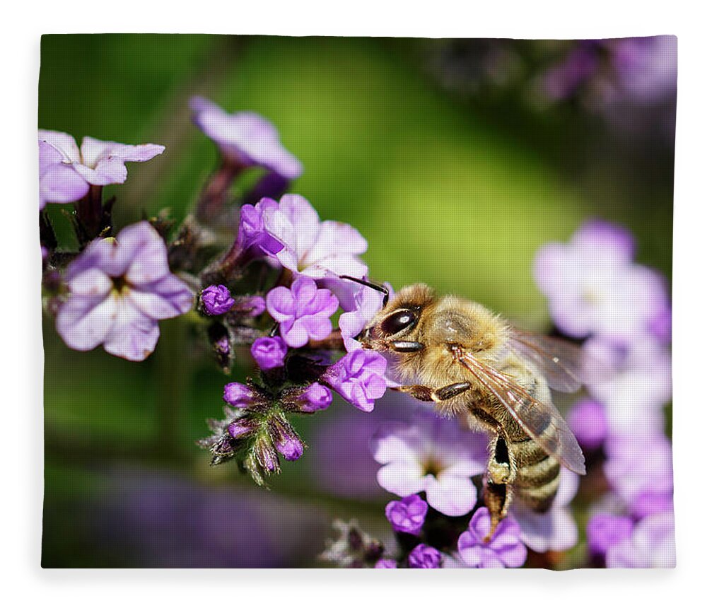 Bee Fleece Blanket featuring the photograph The Pollinator by Rick Deacon