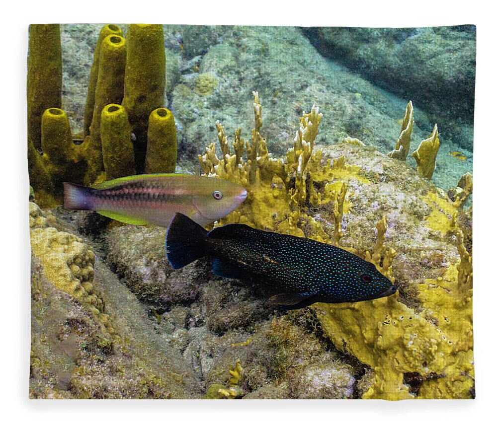 Ocean Fleece Blanket featuring the photograph The Princess and the Grouper by Lynne Browne