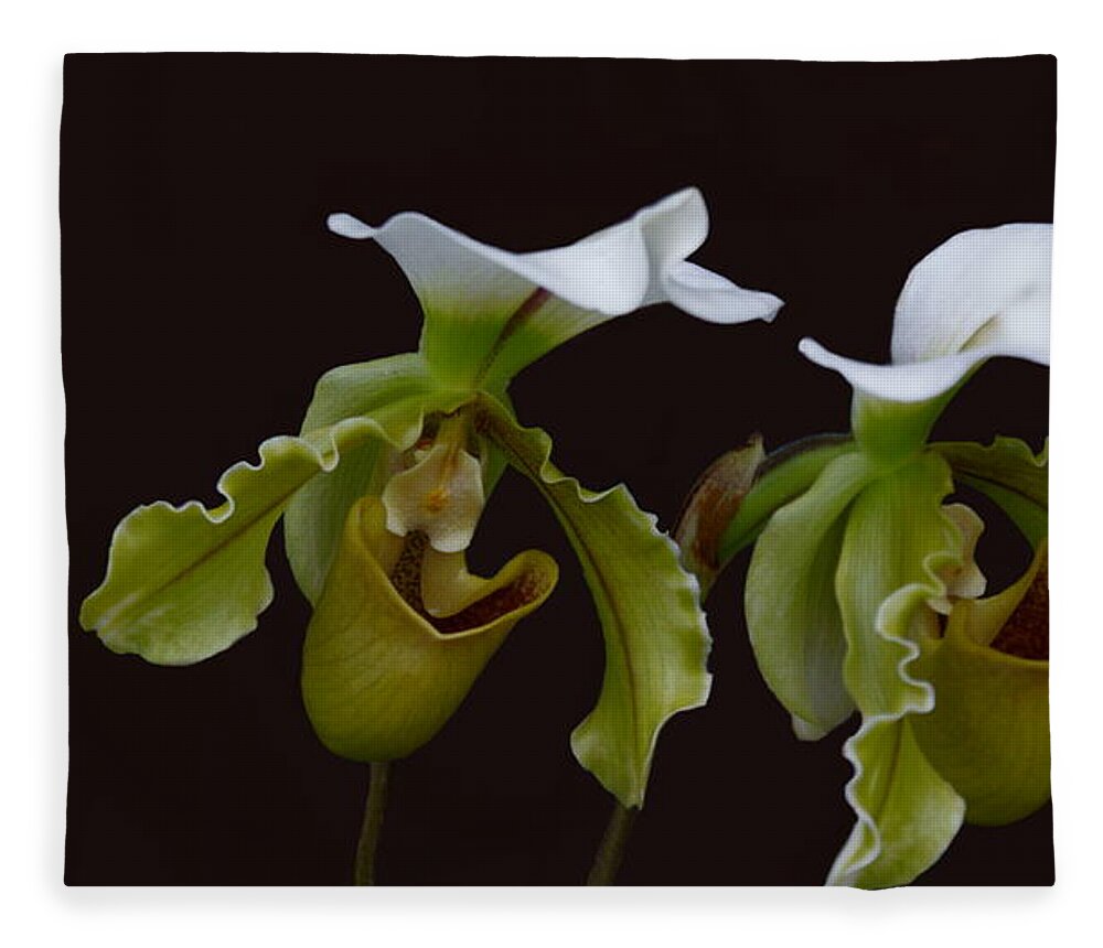 Lady Slippers Fleece Blanket featuring the photograph The Proposal by Jo Smoley