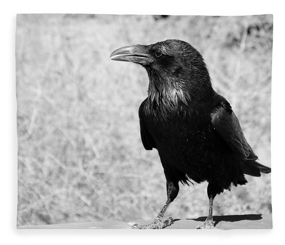 Raven Fleece Blanket featuring the photograph The Raven by Susanne Van Hulst