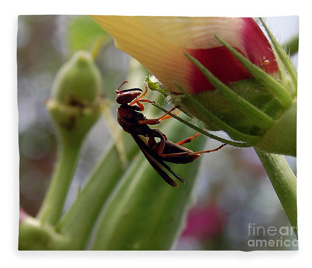 Red Wasp Fleece Blanket featuring the photograph The Real Gardener 2 by Robert Meanor