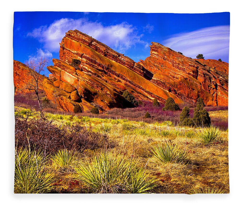 Red Rocks Fleece Blanket featuring the photograph The Red Rock Park VI by David Patterson