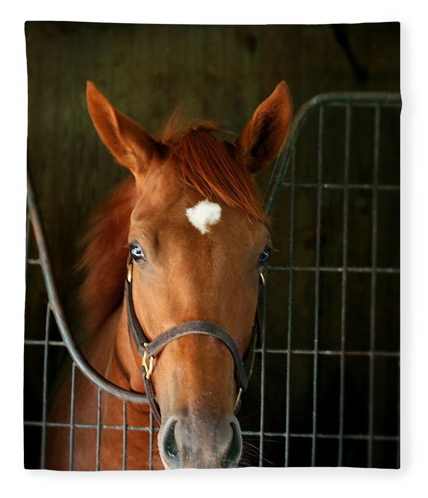 Racing Fleece Blanket featuring the photograph The Roan by Cathy Harper