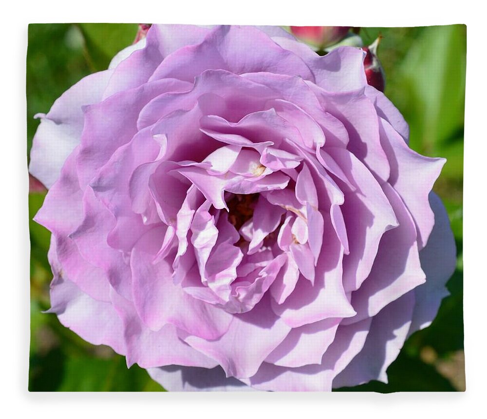 Flowers Fleece Blanket featuring the photograph The Rose by Charles HALL