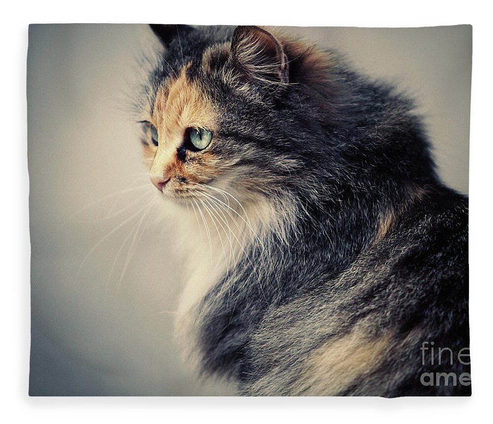 Cat Fleece Blanket featuring the photograph The Sad Street Cat by Dimitar Hristov
