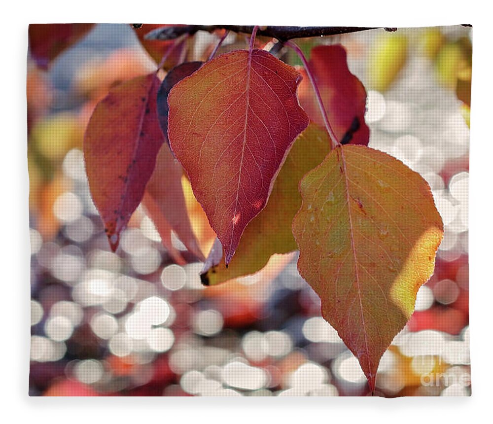 Foliage Fleece Blanket featuring the photograph The Season of the Fall Begins by Linda Lees