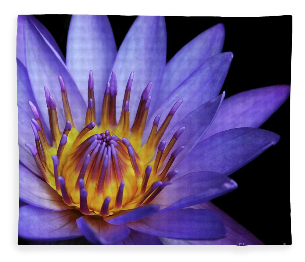 Waterlily Fleece Blanket featuring the photograph The Singular Embrace by Sharon Mau