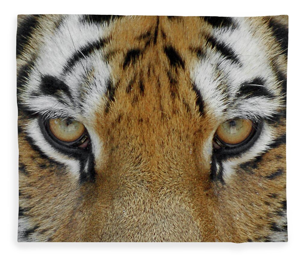 Tiger Fleece Blanket featuring the photograph The Stare by Ernest Echols