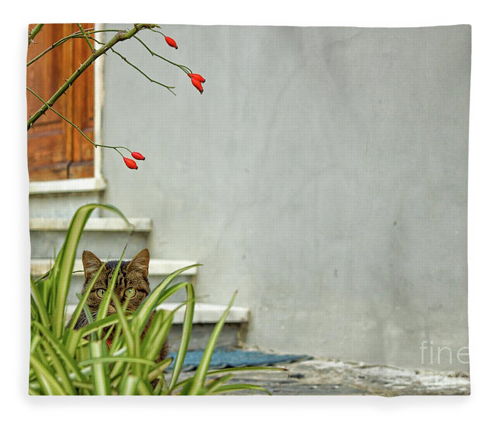 Cat Fleece Blanket featuring the photograph The Tiny Predator by Becqi Sherman
