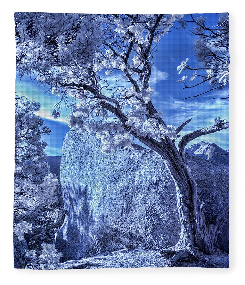 Landscape Fleece Blanket featuring the photograph The Tree and The Boulder by Michael McKenney