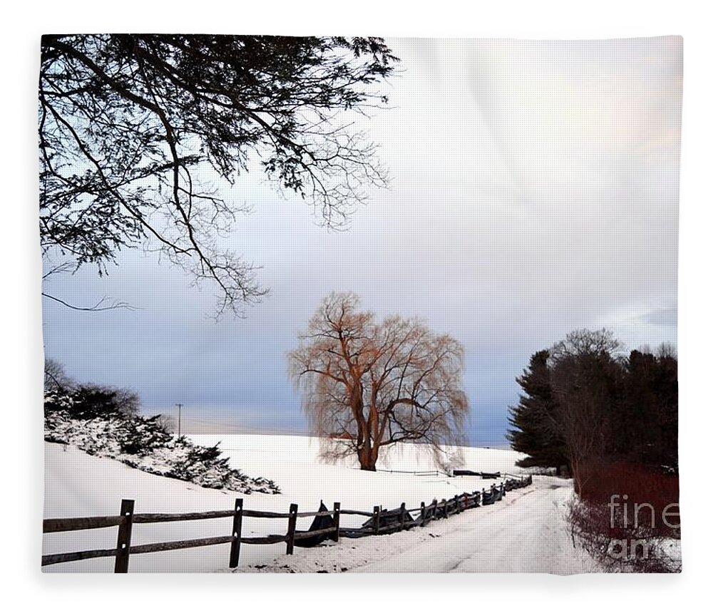 Trees Fleece Blanket featuring the photograph The Tree by Dani McEvoy