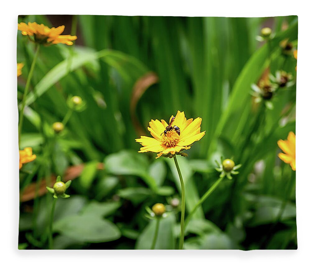 Flower Fleece Blanket featuring the digital art The Wasp and the Daisies by Ed Stines