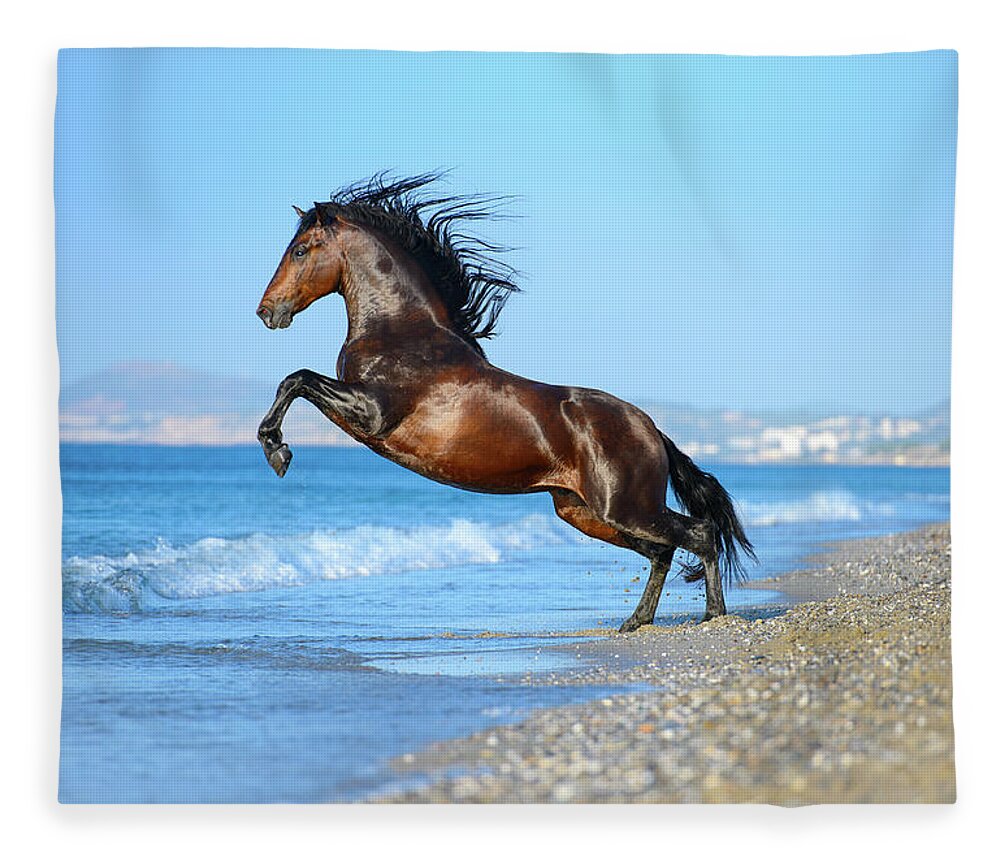 Russian Artists New Wave Fleece Blanket featuring the photograph The Wave. Andalusian Horse by Ekaterina Druz