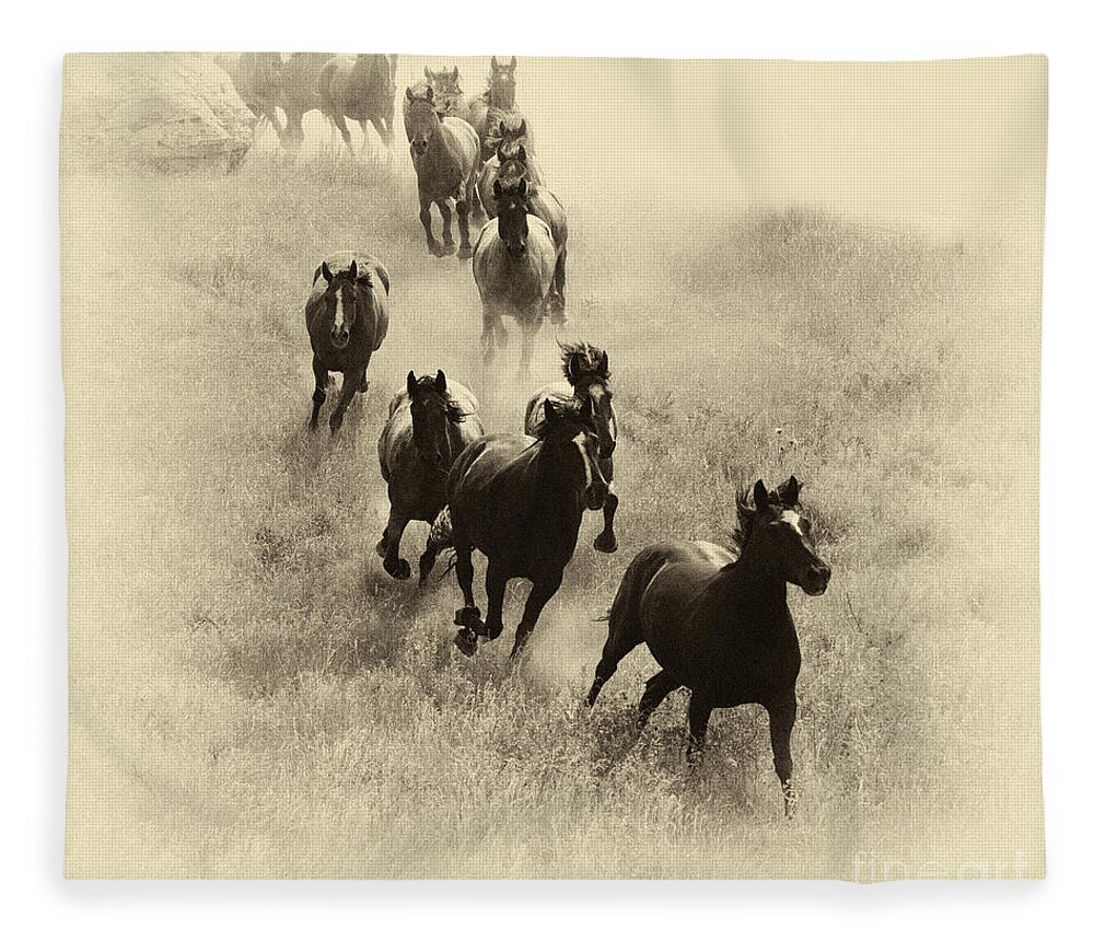 Mustang Fleece Blanket featuring the photograph The Wild Bunch 1 by Bob Christopher