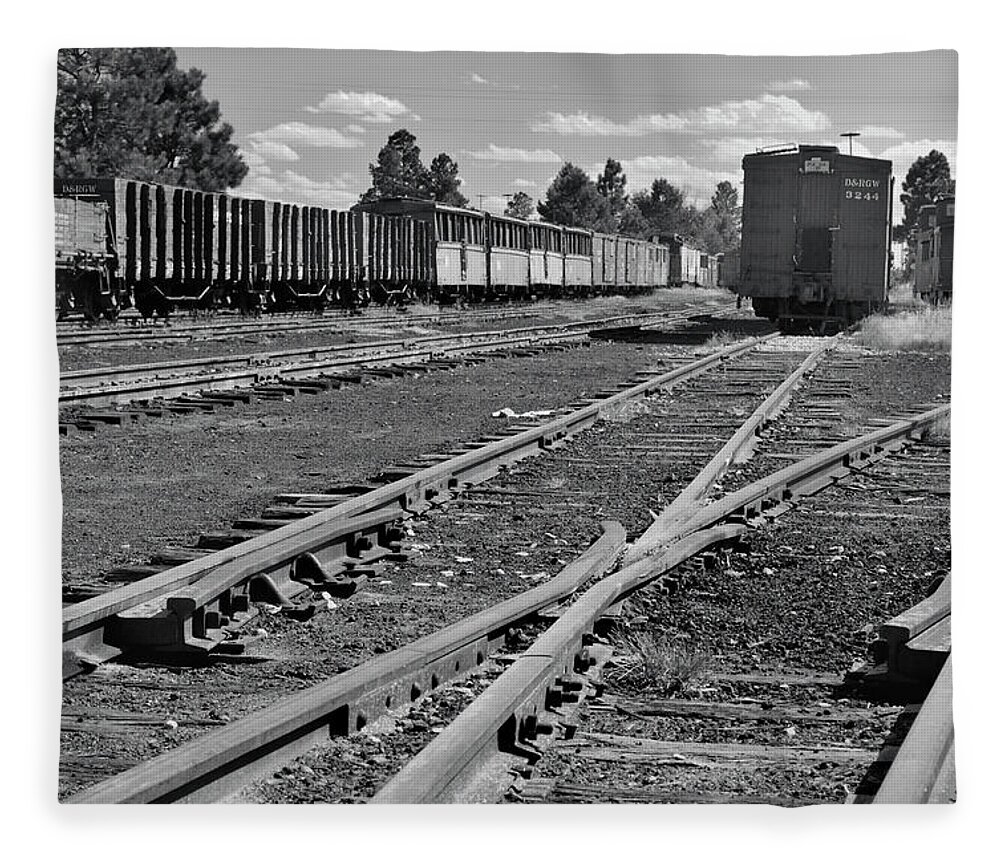 Trains Fleece Blanket featuring the photograph The Yard by Ron Cline