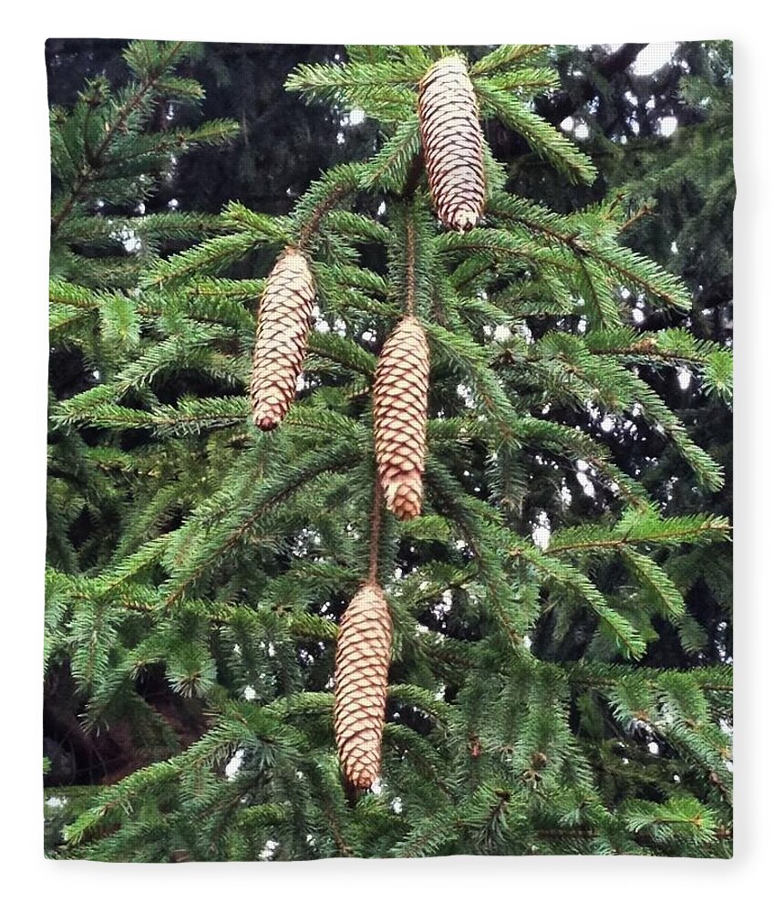 Pinecone Fleece Blanket featuring the photograph Then There Were Four by Vic Ritchey