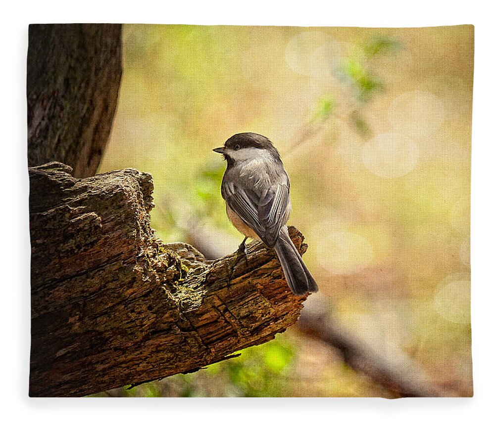 Bird Fleece Blanket featuring the photograph Thinking of Spring by Lois Bryan