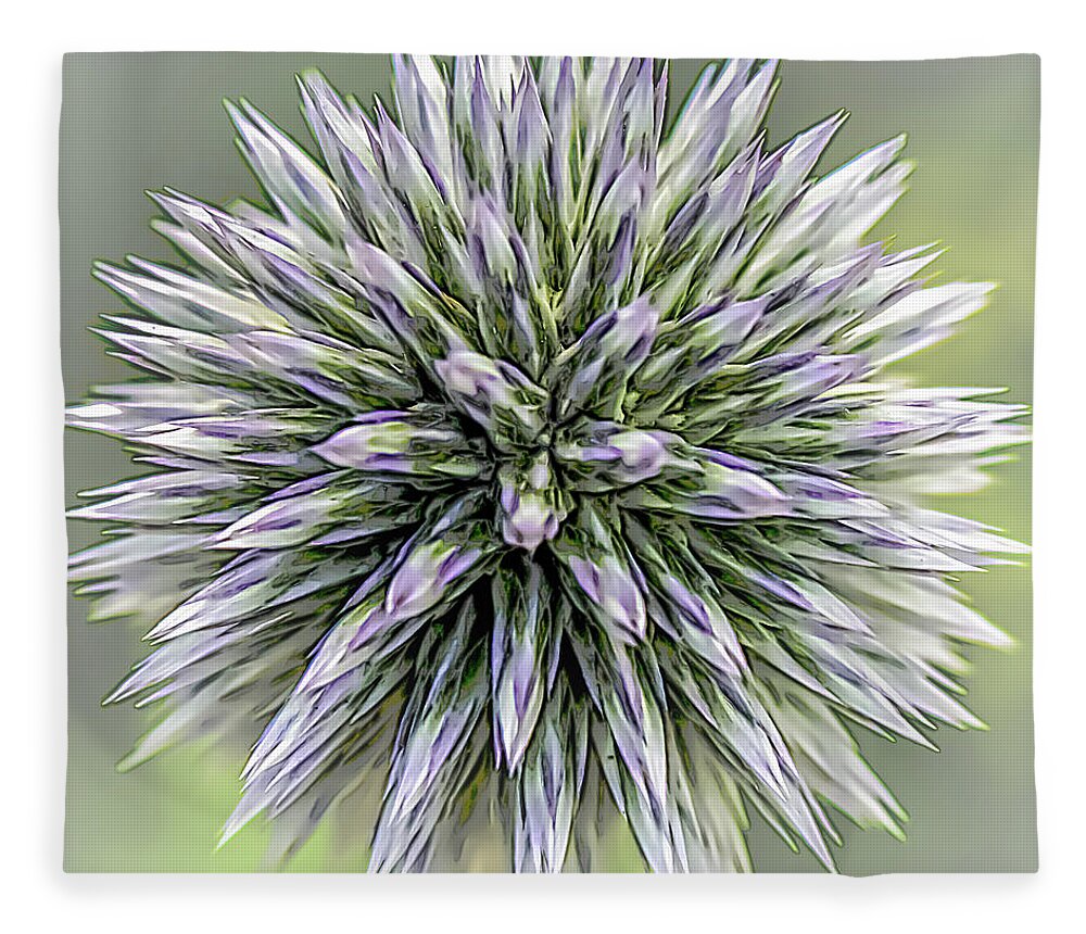 Nature Fleece Blanket featuring the photograph Thistle II by Robert Mitchell
