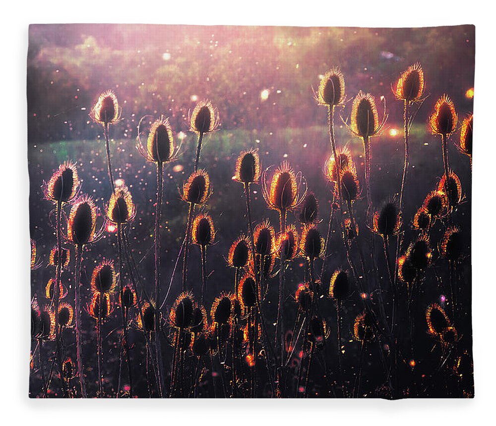 Thistles Fleece Blanket featuring the photograph Thistles by Mikel Martinez de Osaba