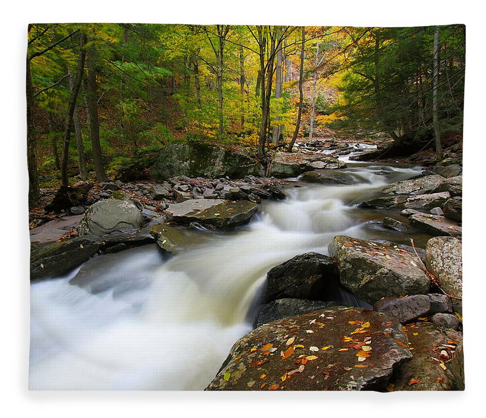 Fall Fleece Blanket featuring the photograph Three Seconds in Fall by Neil Shapiro