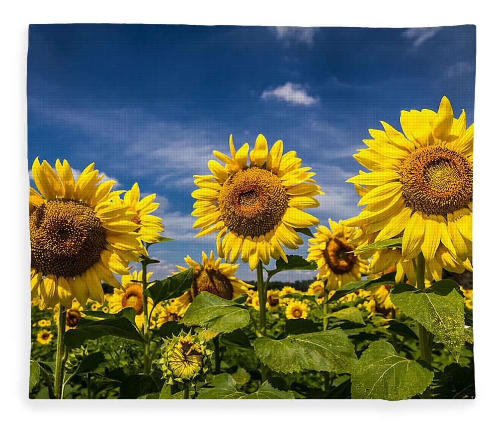 Blue Sky Fleece Blanket featuring the photograph Three Suns by Ron Pate